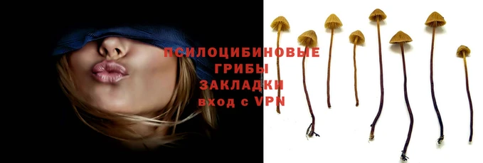 мяу мяу мука Балабаново