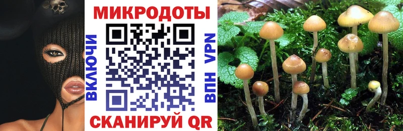 магазин  наркотиков  блэк спрут ONION  Галлюциногенные грибы Psilocybine cubensis  Верея 